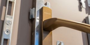 Tay nắm 1 năm vs. 10 năm: khác nhau ở đâu?